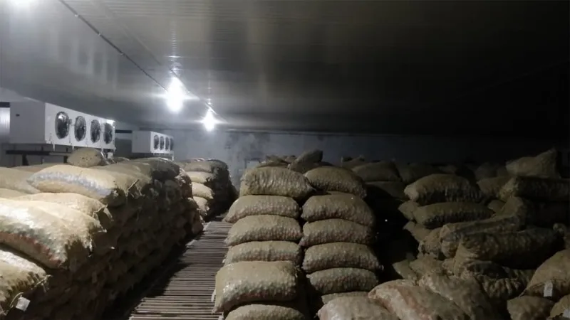 nandikoti_Potato Cold Storage